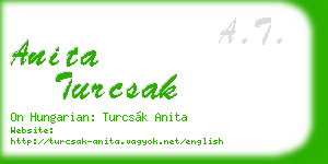 anita turcsak business card