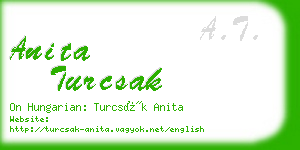 anita turcsak business card